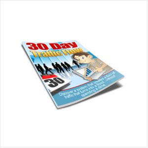 Targeted Free Traffic System