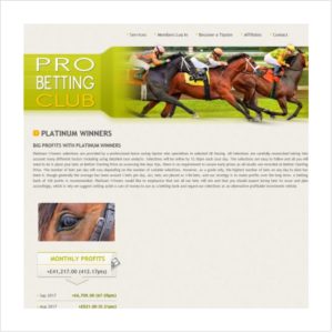 Professional Horse Racing Tips