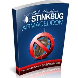 Get rid of stink bugs