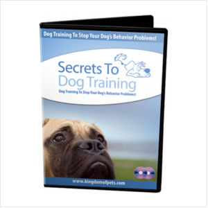 Fix Dog Behavior Problems