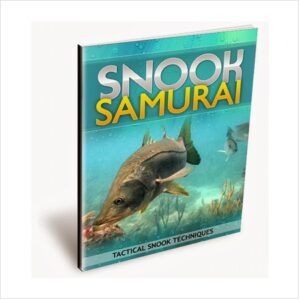 The Ultimate Guide To Snook Fishing